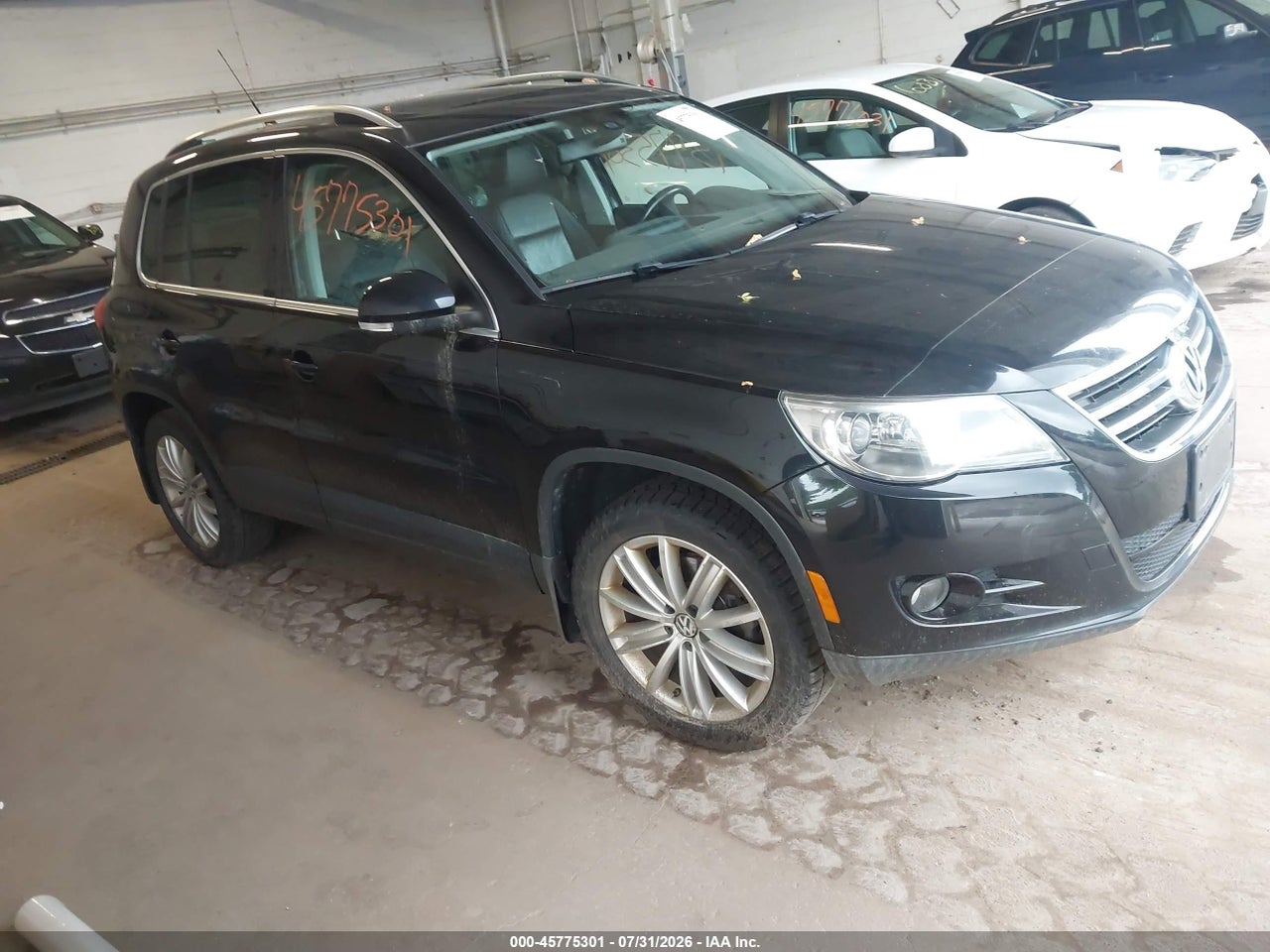 WVGBV95N09W****** · 2009 VOLKSWAGEN TIGUAN SE/SEL