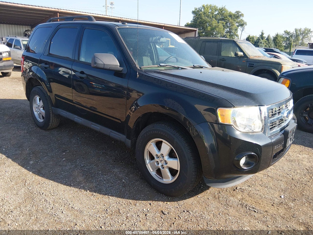 1FMCU0D75BK****** · 2011 FORD ESCAPE XLT