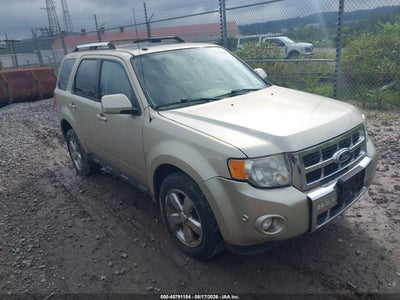 1FMCU9EG0AK****** · 2010 FORD ESCAPE LIMITED