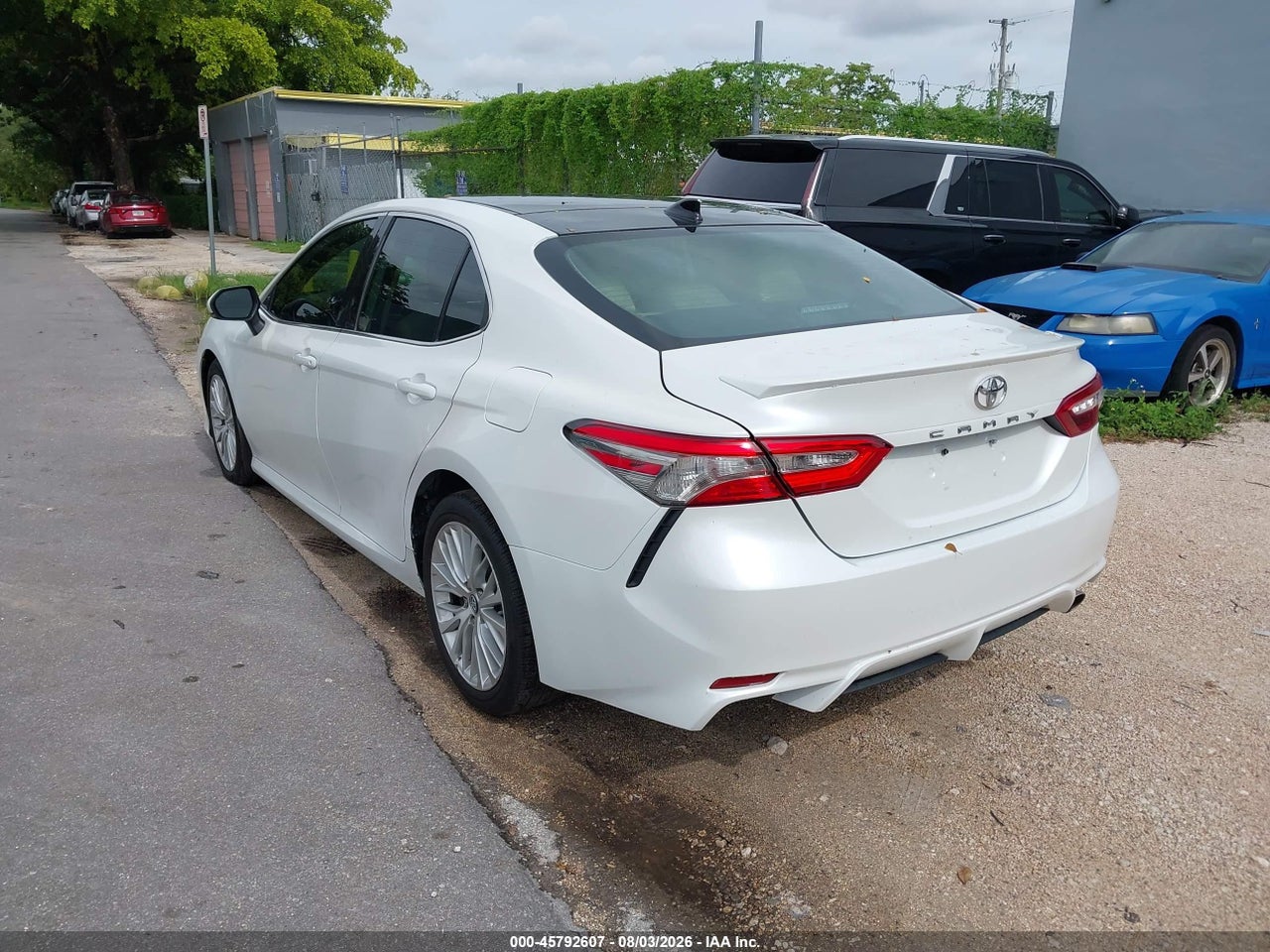 2019 TOYOTA CAMRY XLE · 3/11