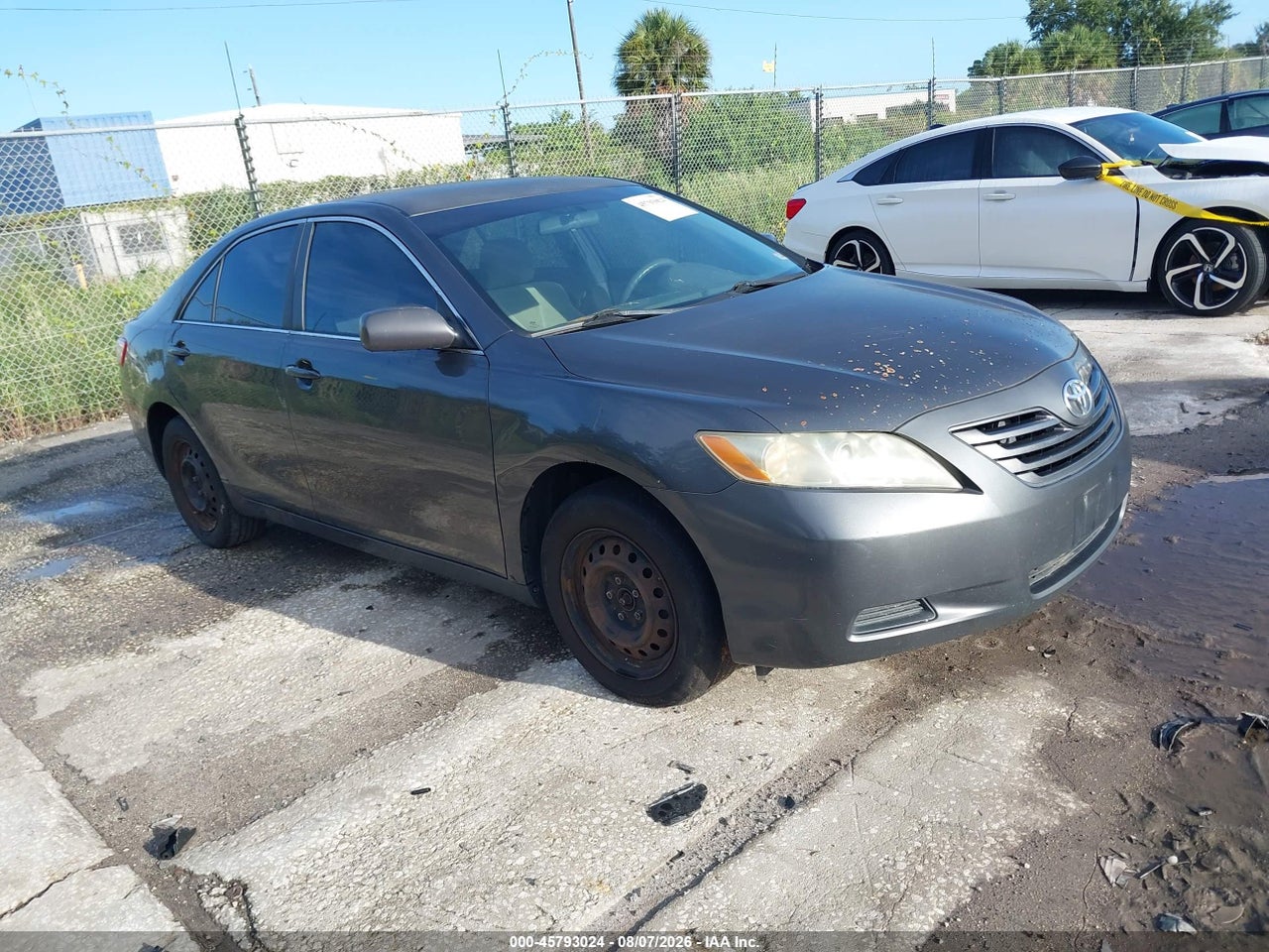 4T1BE46K29U****** · 2009 TOYOTA CAMRY LE