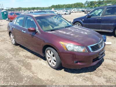 5KBCP3F80AB****** · 2010 HONDA ACCORD 3.5 EX-L