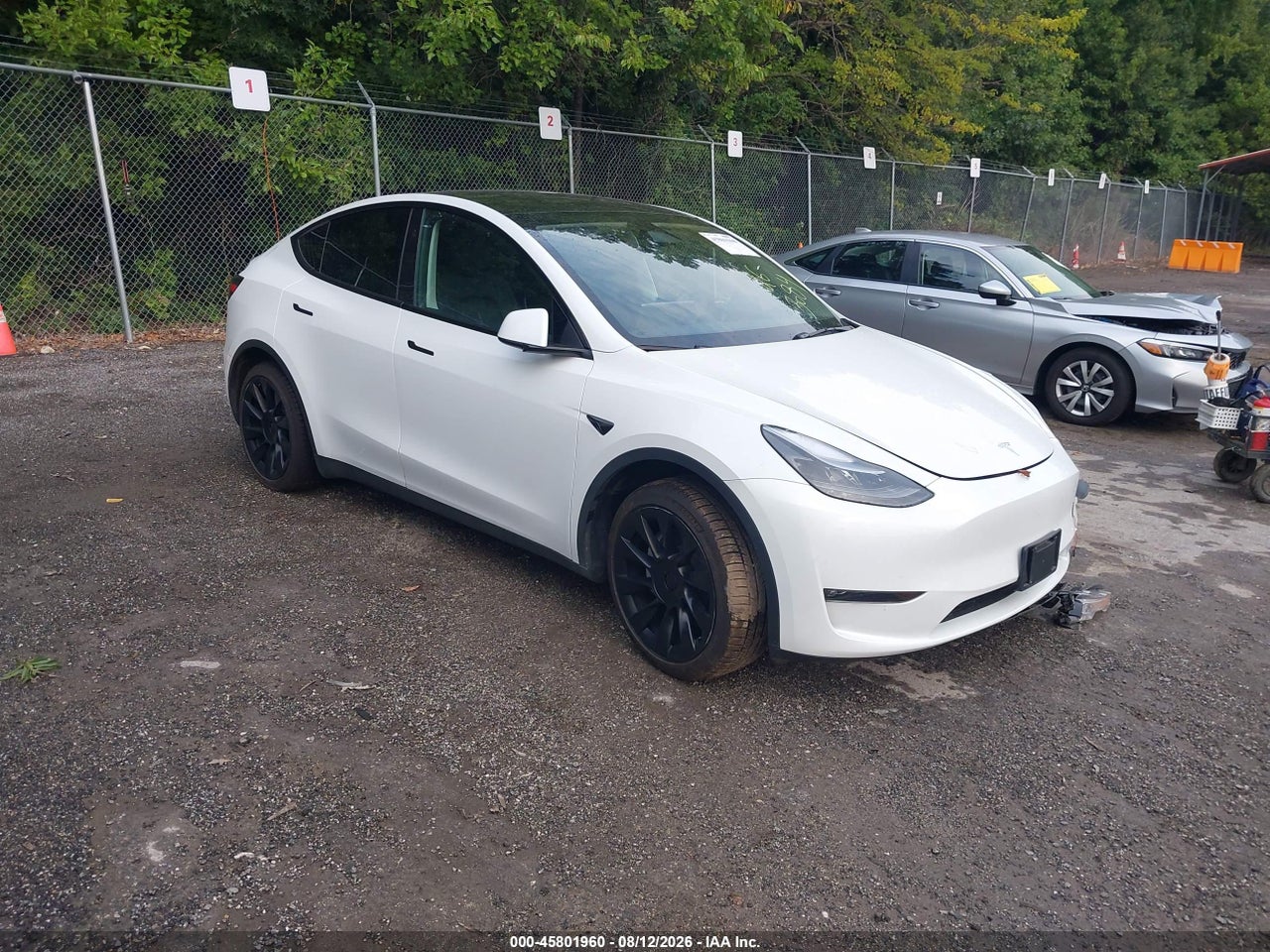 7SAYGDED2PF****** · 2023 TESLA MODEL Y RWD