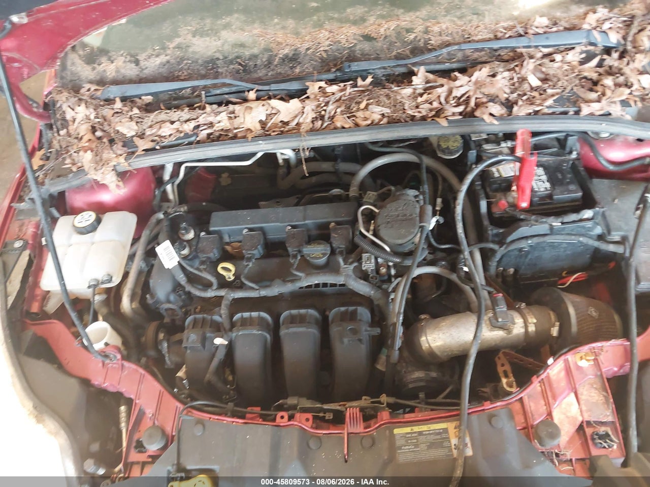 1FAHP3F24CL****** · 2012 FORD FOCUS SE · 10/11