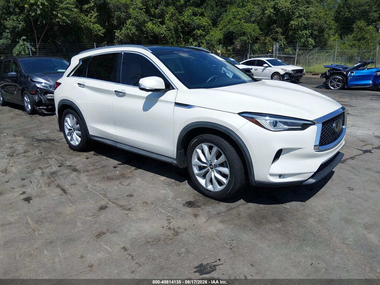 3PCAJ5M35KF****** · 2019 INFINITI QX50 ESSENTIAL