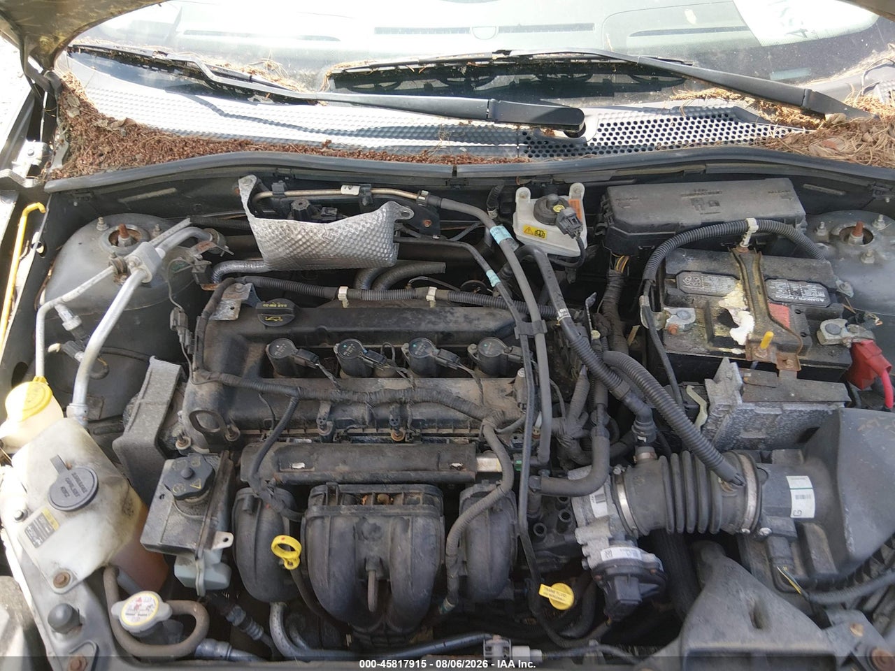 1FAHP3FN7BW****** · 2011 FORD FOCUS SE · 10/11