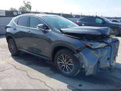 2024 LEXUS NX 350