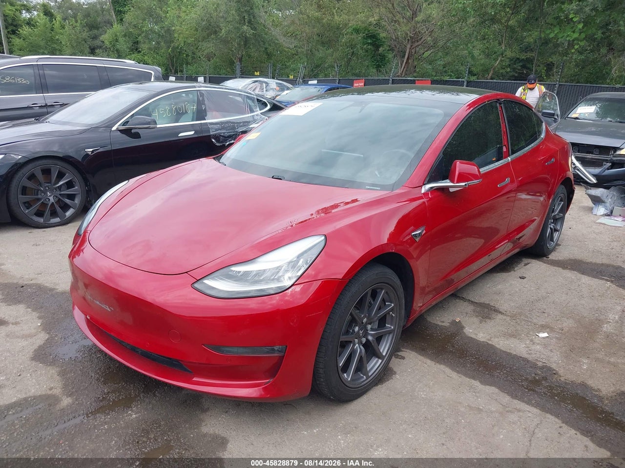 2019 TESLA MODEL 3 LONG RANGE/MID RANGE/STANDARD RANGE/STANDARD RANGE PLUS · 2/11