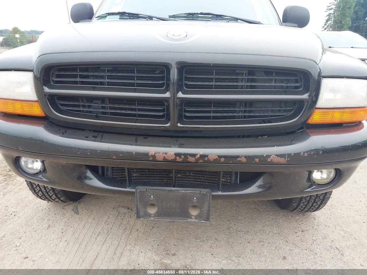 1B4HS28Z5XF****** · 1999 DODGE DURANGO · 6/11