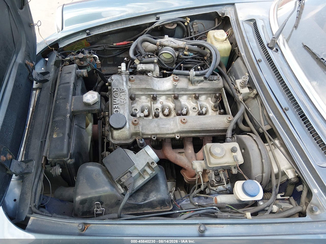 ZARBA5586H1****** · 1987 ALFA ROMEO SPIDER VELOCE · 10/11