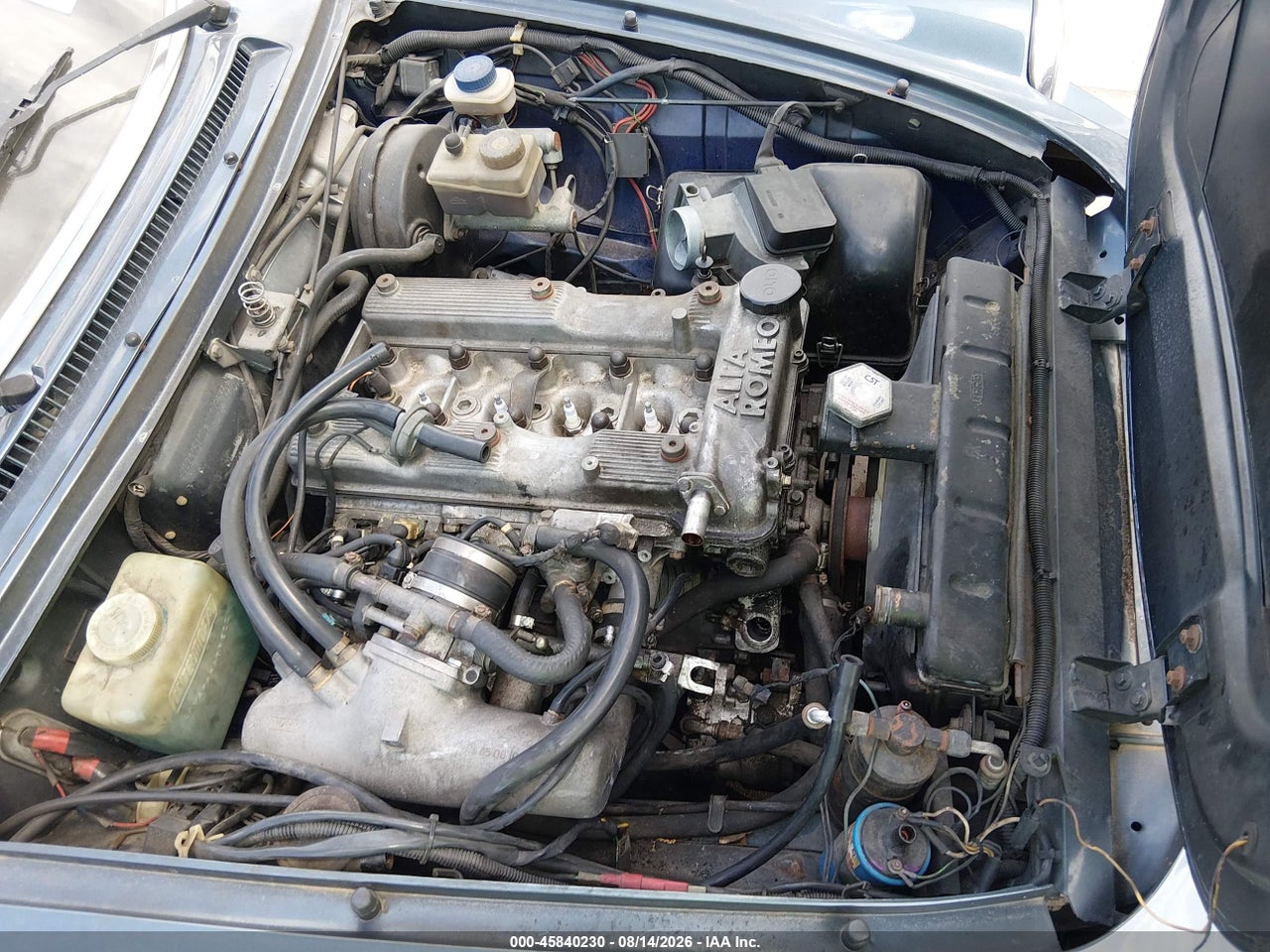 ZARBA5586H1****** · 1987 ALFA ROMEO SPIDER VELOCE · 6/11