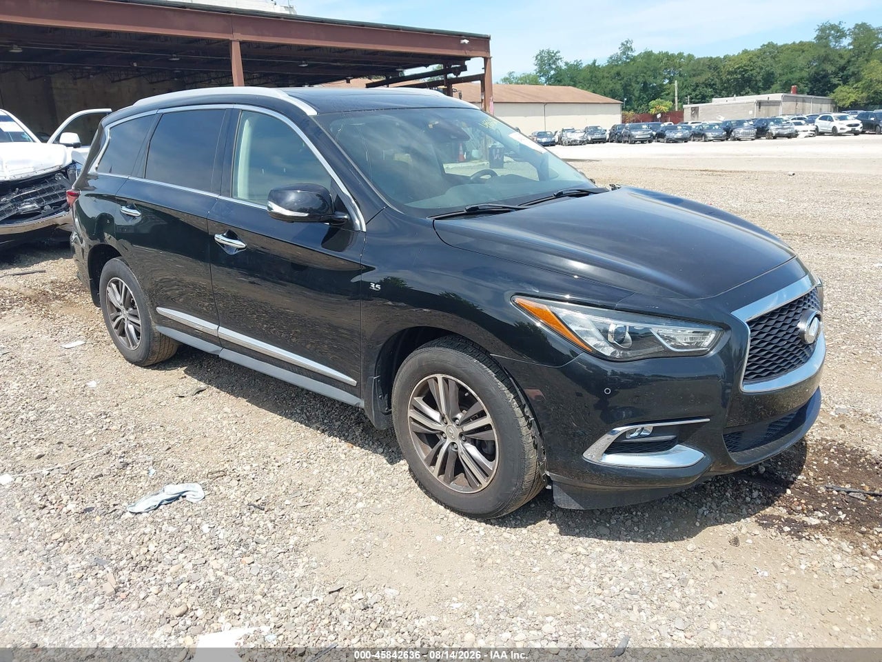 5N1DL0MM1KC****** · 2019 INFINITI QX60 LUXE