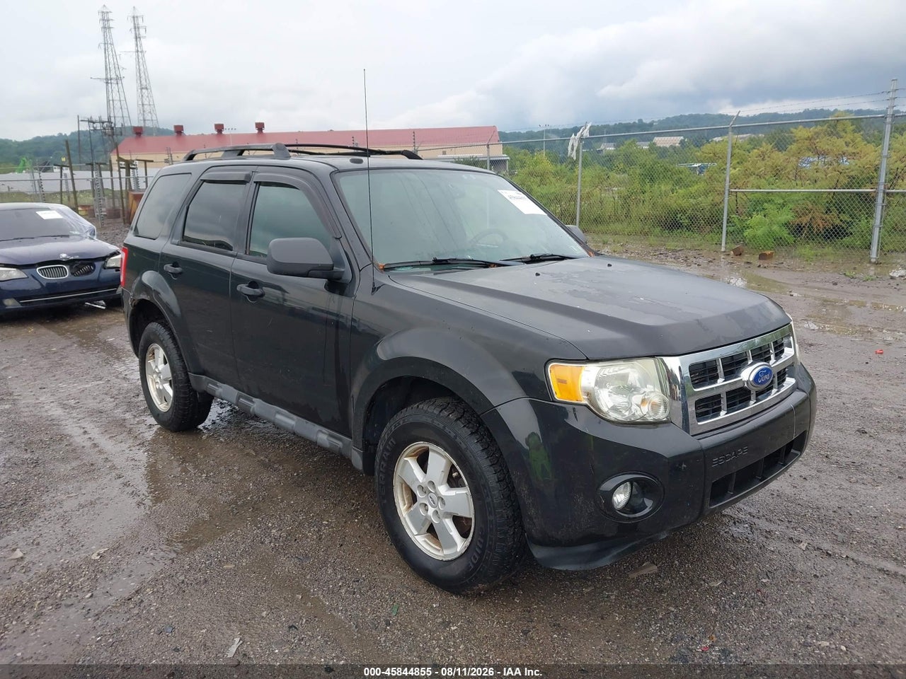 1FMCU0D75BK****** · 2011 FORD ESCAPE XLT