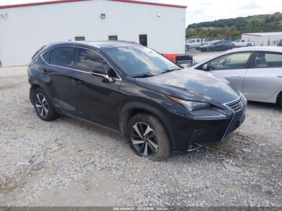 JTJBJRBZ9K2****** · 2019 LEXUS NX 300H