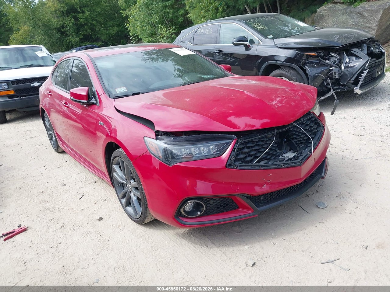 19UUB3F84KA****** · 2019 ACURA TLX ADVANCE PKG