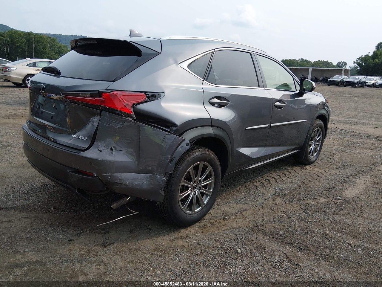 JTJDARDZ1L2****** · 2020 LEXUS NX 300 · 4/11