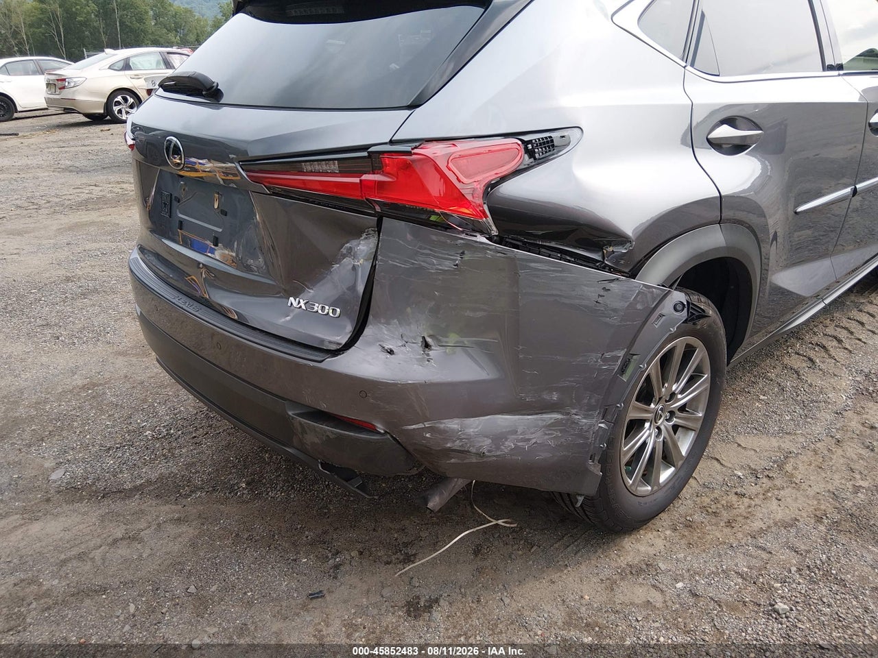 JTJDARDZ1L2****** · 2020 LEXUS NX 300 · 6/11