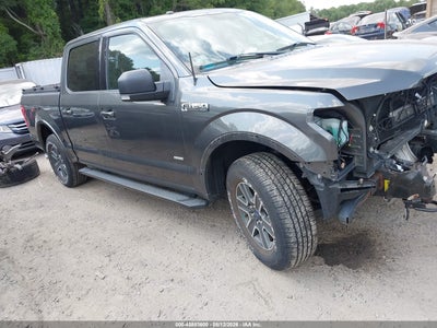 1FTEW1EP0GF****** · 2016 FORD F-150 XLT
