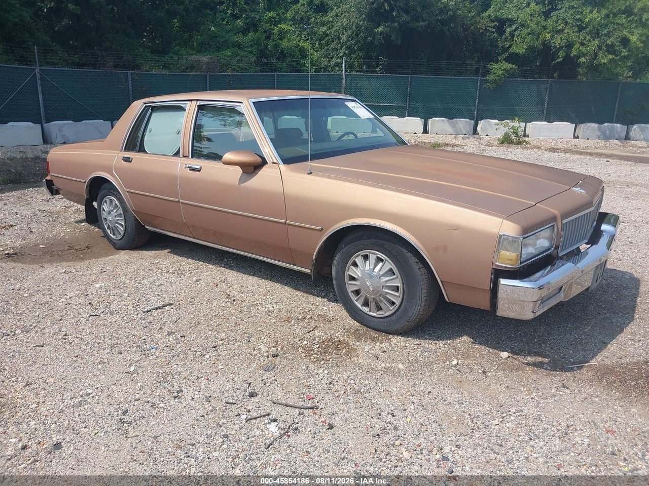 1G1BL51E7KA****** · 1989 CHEVROLET CAPRICE