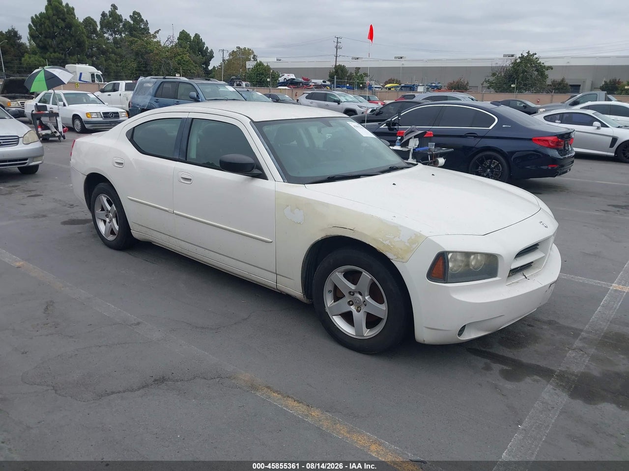 2B3KA43D19H****** · 2009 DODGE CHARGER SE