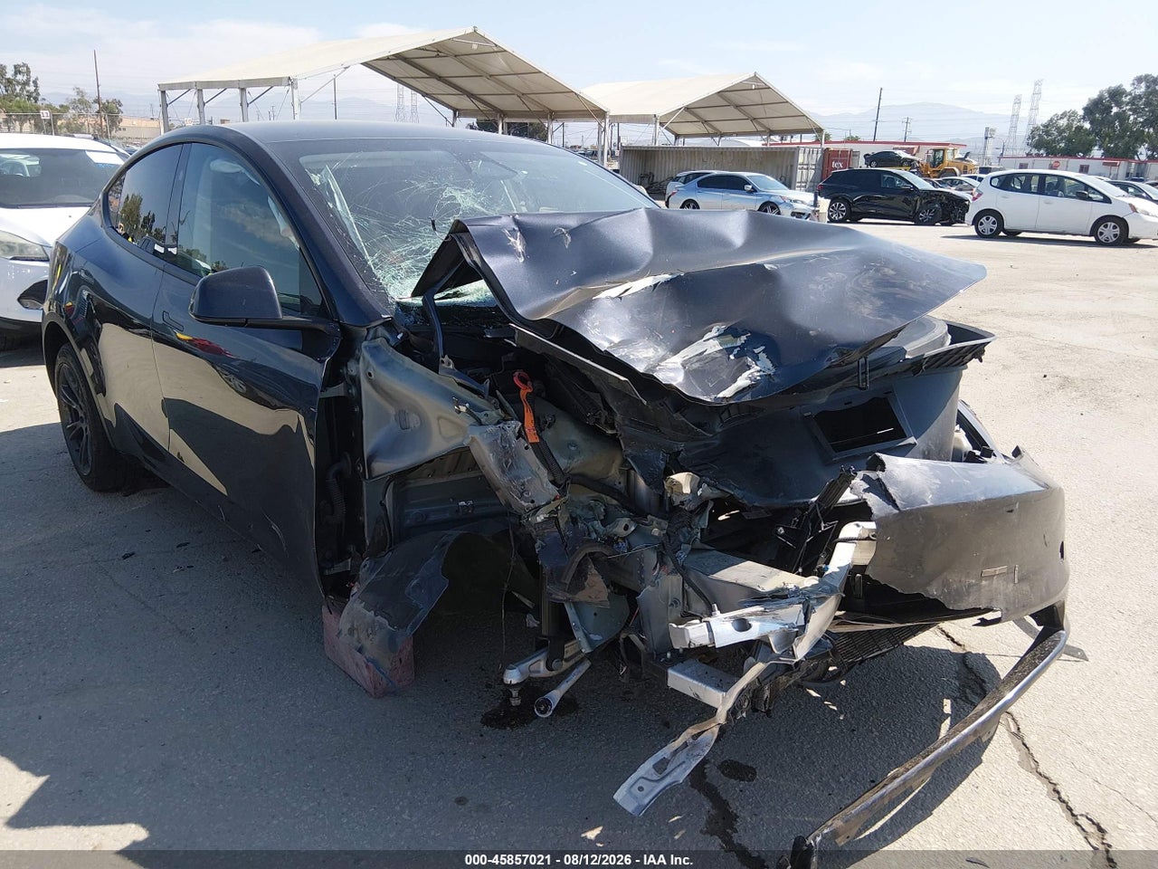7SAYGDED5RF****** · 2024 TESLA MODEL Y LONG RANGE SINGLE MOTOR REAR-WHEEL DRIVE/RWD