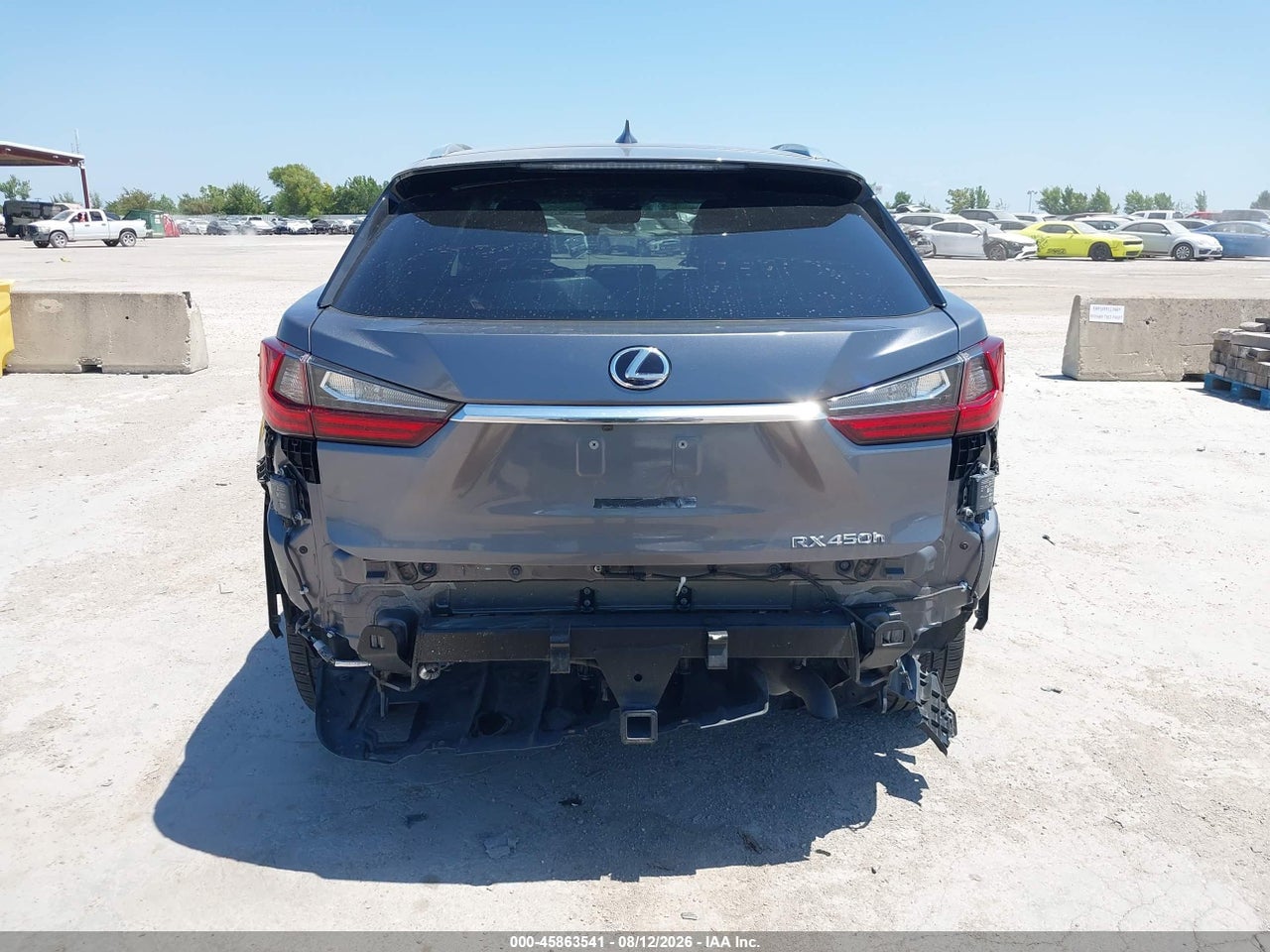 2019 LEXUS RX 450H · 6/11