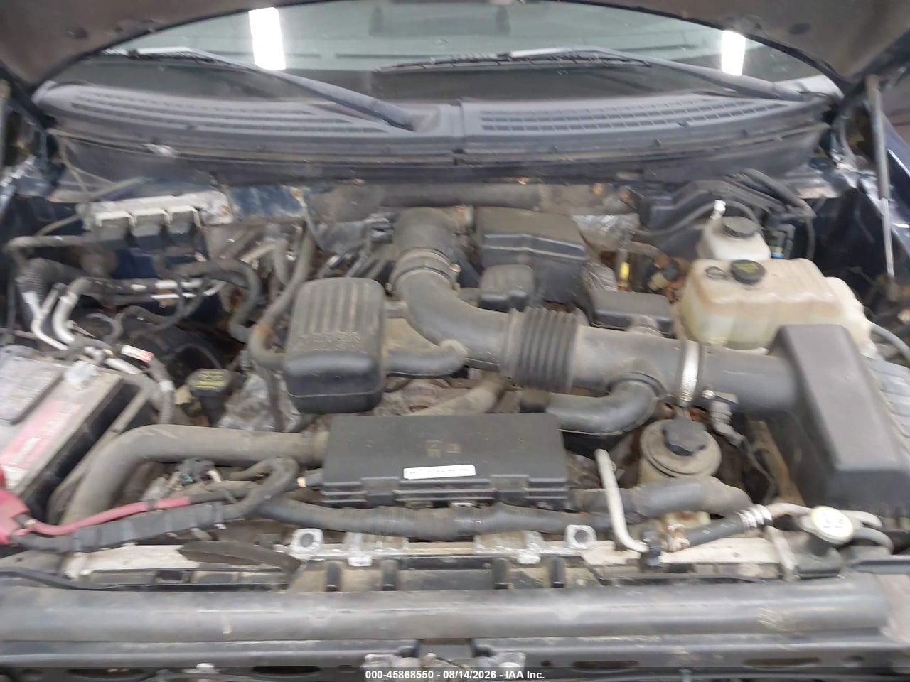 1FTFW1EV0AF****** · 2010 FORD F-150 FX4/HARLEY-DAVIDSON/KING RANCH/LARIAT/PLATINUM/XL/XLT · 10/11