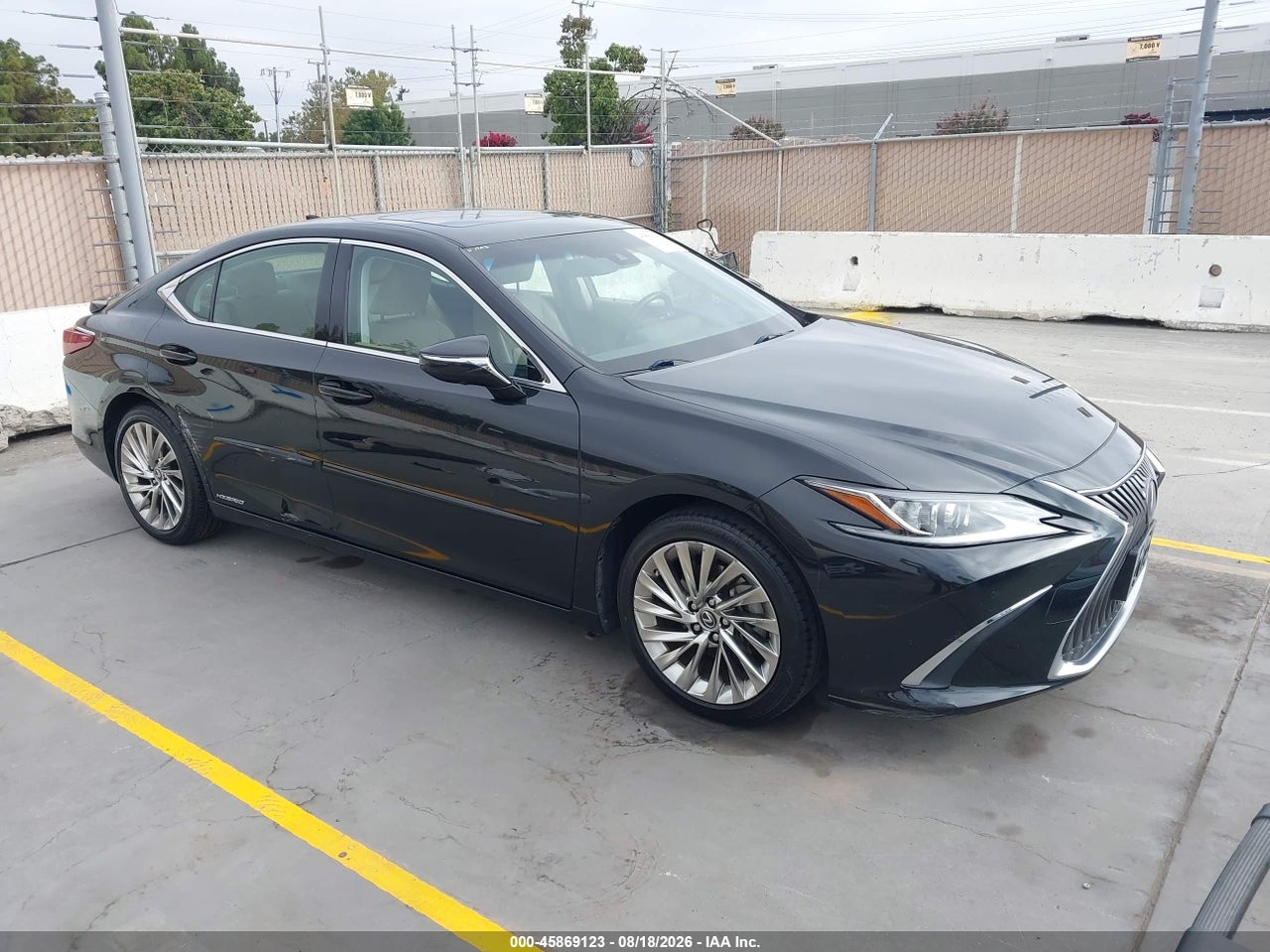 2019 LEXUS ES 300H LUXURY