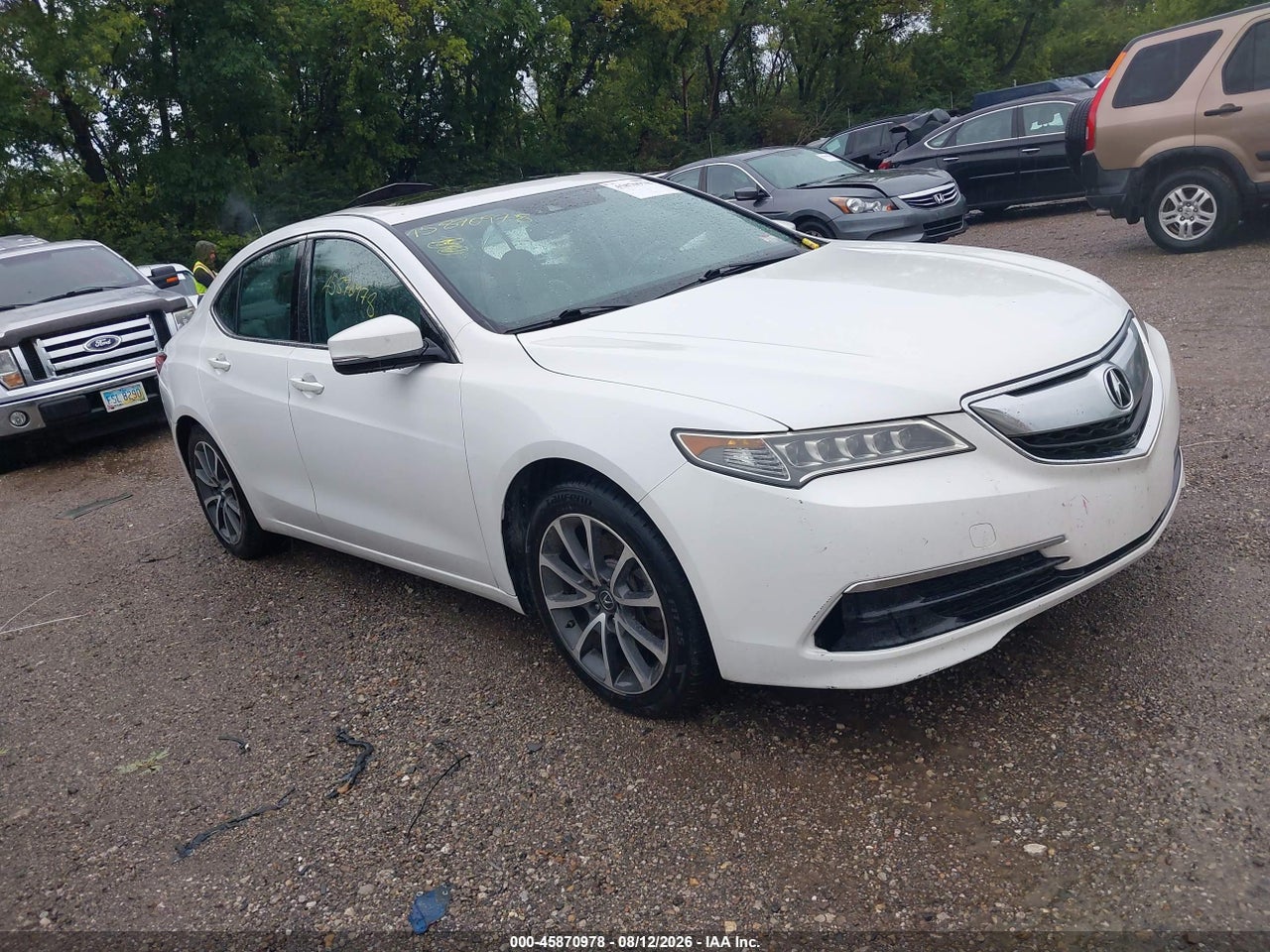 19UUB2F52ga****** · 2016 ACURA TLX TECH