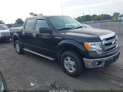 2013 FORD F-150 XLT