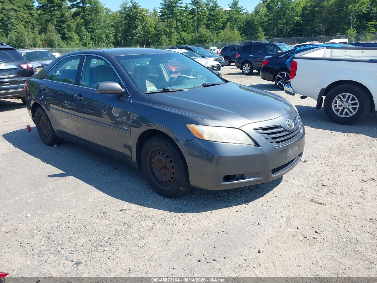 4T1BE46K79U****** · 2009 TOYOTA CAMRY LE