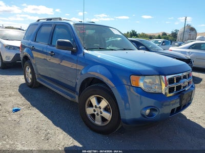 2010 FORD ESCAPE XLT
