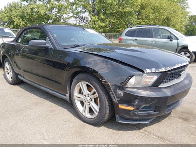 2010 FORD MUSTANG V6/V6 PREMIUM