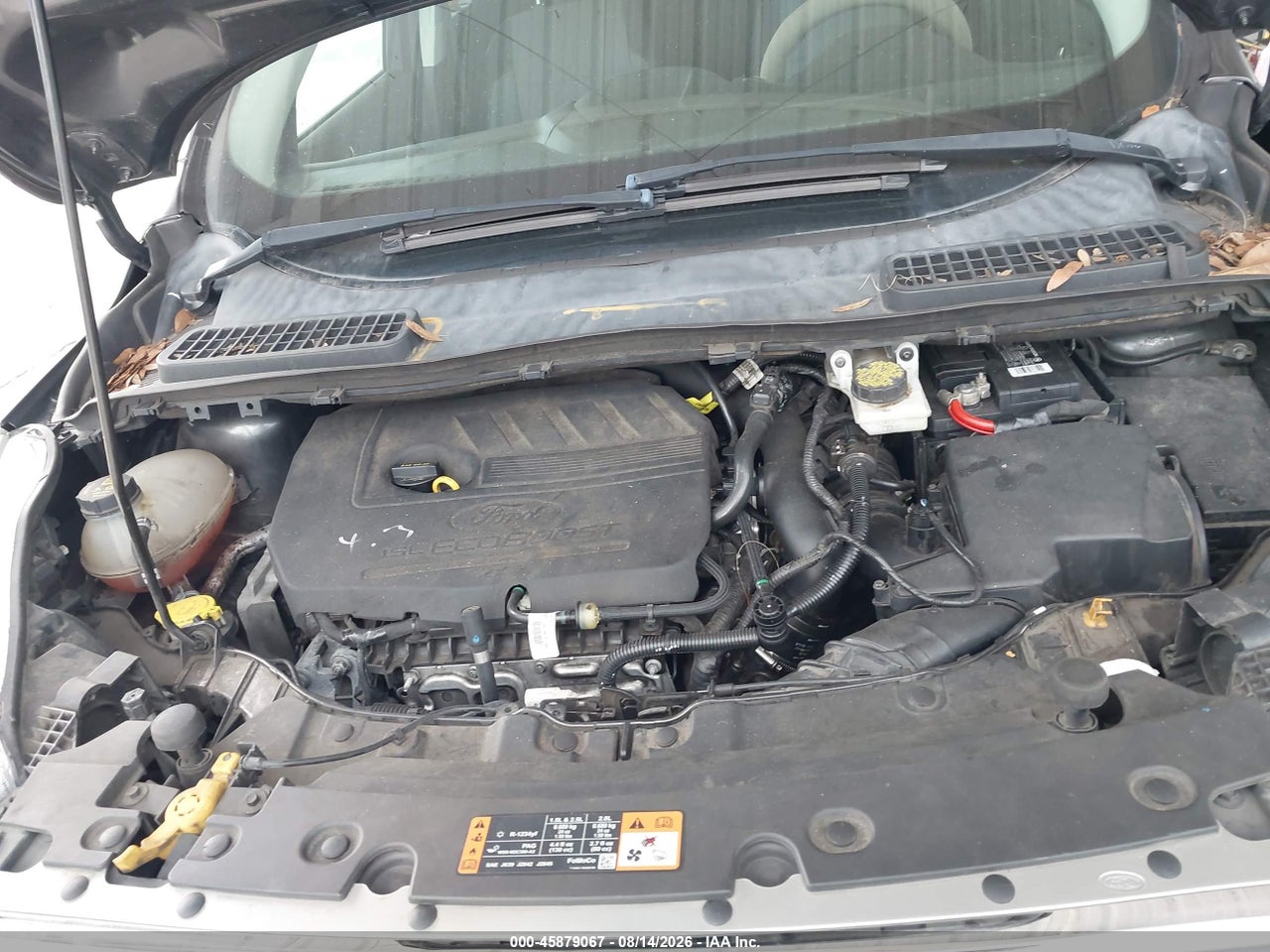 2017 FORD ESCAPE SE · 6/11