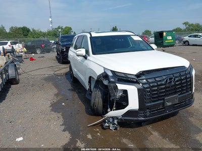 2024 HYUNDAI PALISADE CALLIGRAPHY NIGHT EDITION
