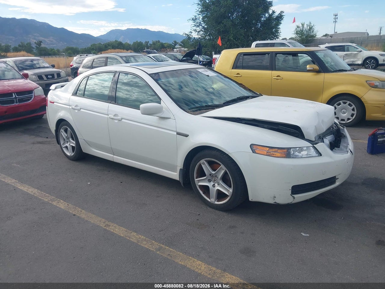 19UUA66265A****** · 2005 ACURA TL