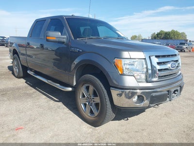 2010 FORD F-150 FX4/HARLEY-DAVIDSON/KING RANCH/LARIAT/PLATINUM/XL/XLT