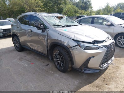 2024 LEXUS NX 350