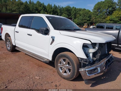 1FTEW3K83SK****** · 2025 FORD F-150 XLT