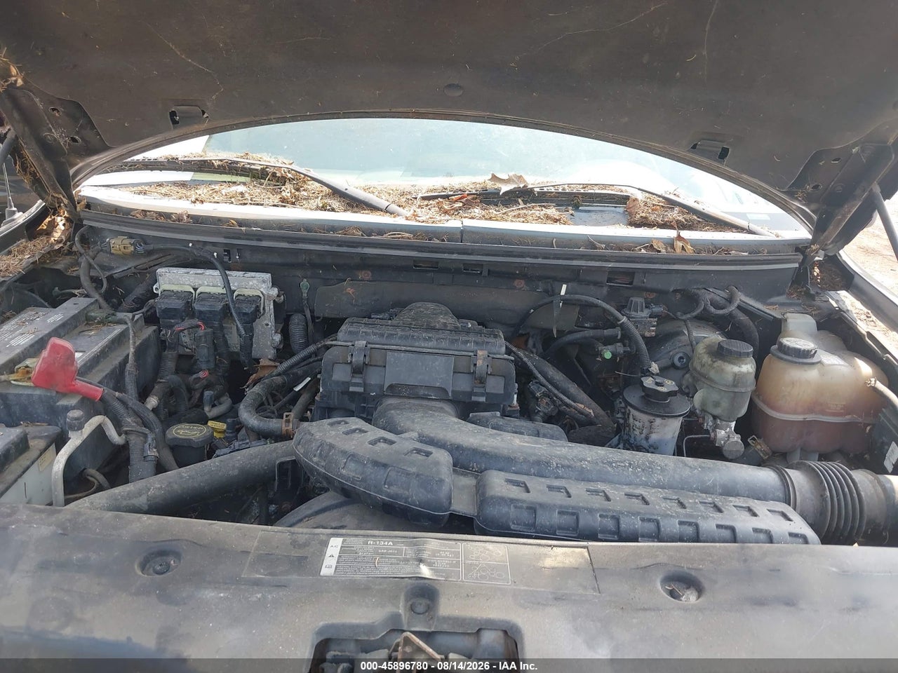 1FTPW14515F****** · 2005 FORD F-150 FX4/LARIAT/XLT · 10/11