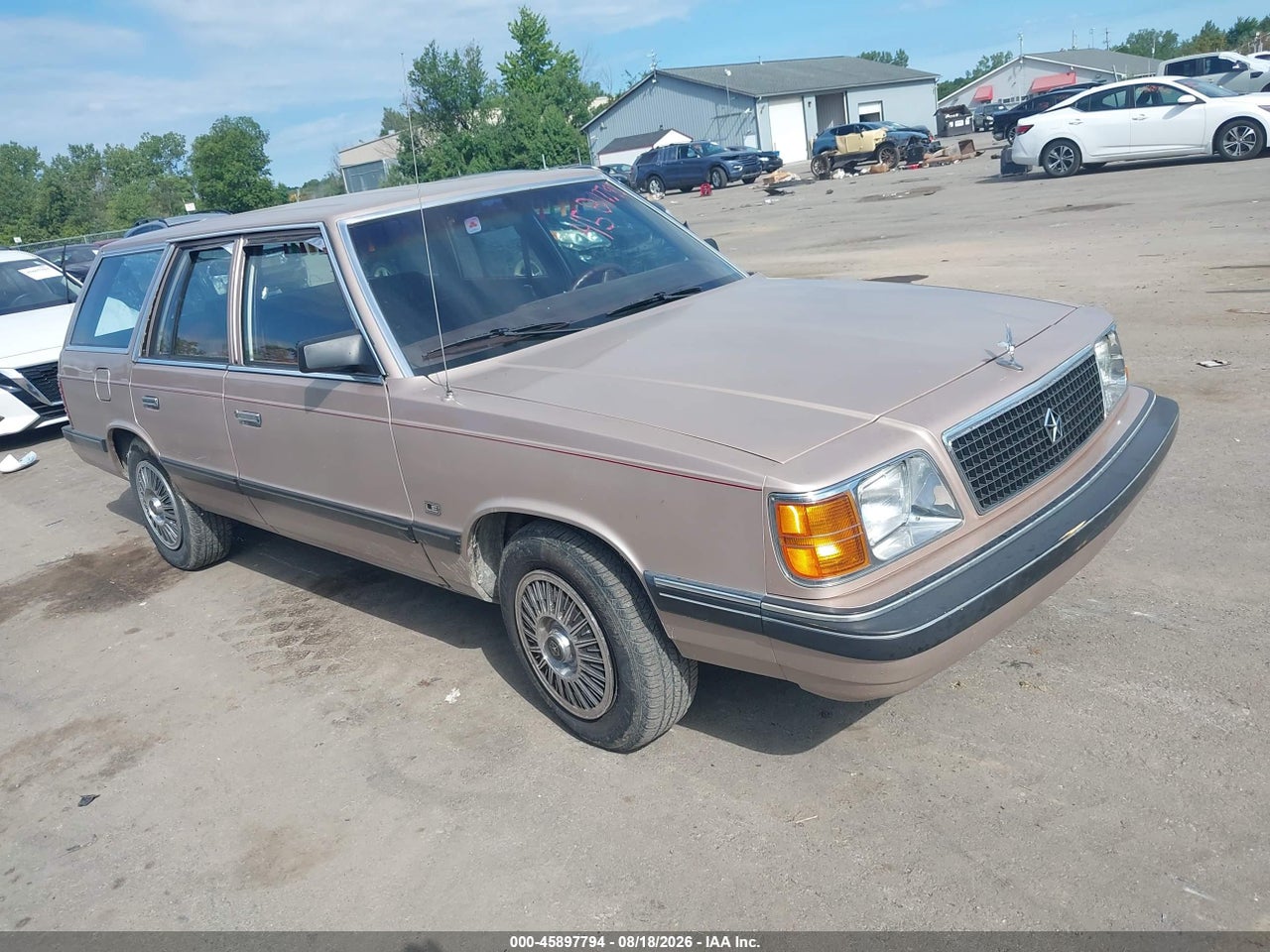 1P3BP49D6JF****** · 1988 PLYMOUTH RELIANT LE