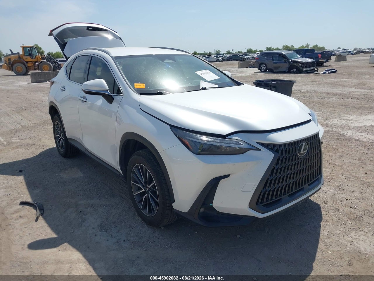 2024 LEXUS NX 250