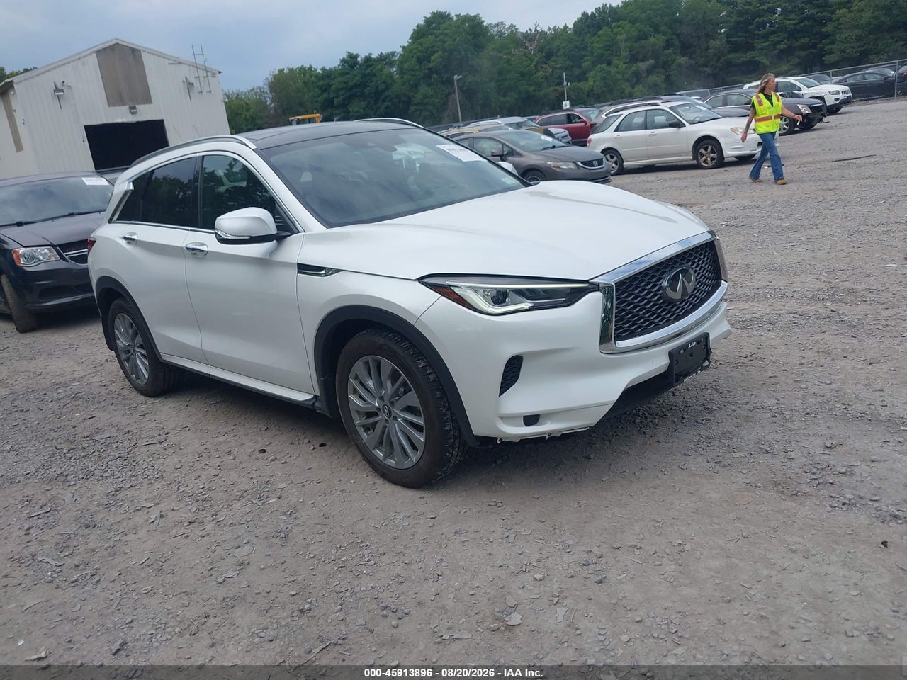 3PCAJ5BBXPF****** · 2023 INFINITI QX50 LUXE AWD