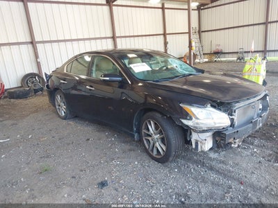 2010 NISSAN MAXIMA 3.5 SV