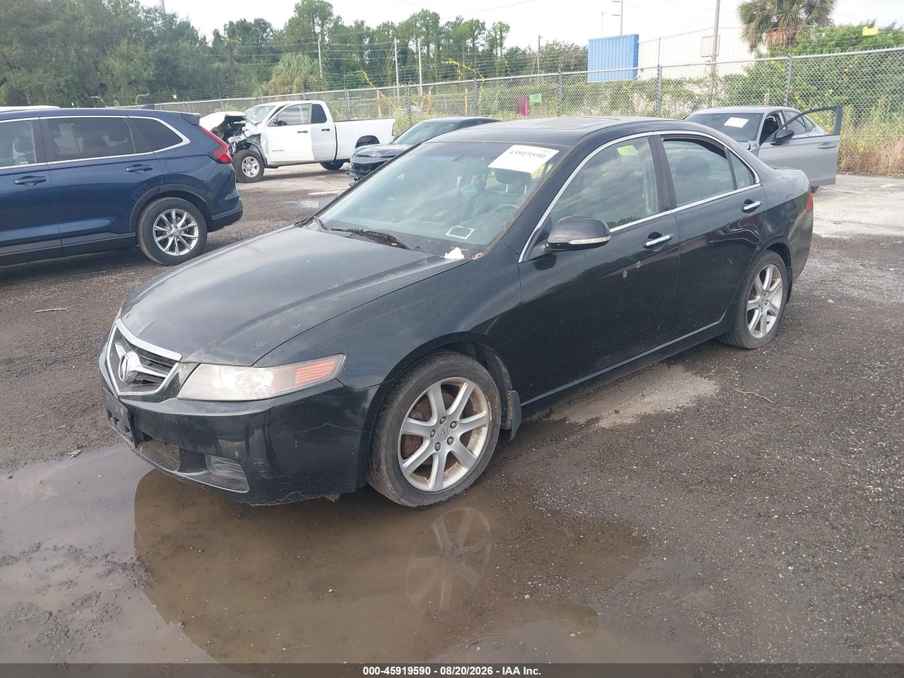 JH4CL95965C****** · 2005 ACURA TSX · 2/11