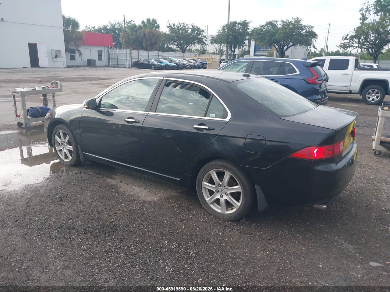 JH4CL95965C****** · 2005 ACURA TSX · 3/11