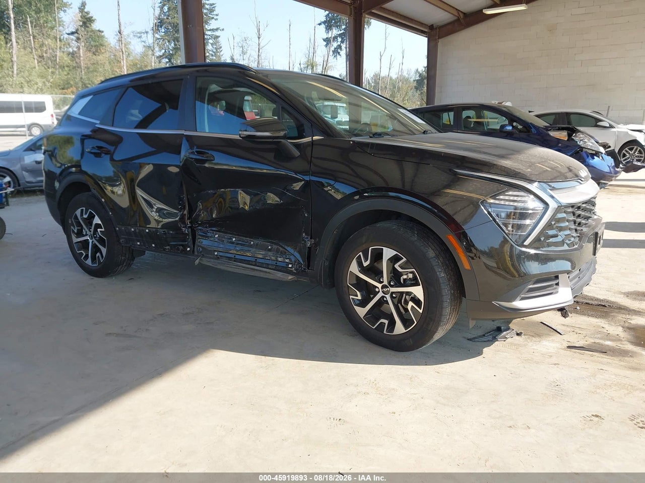 KNDPVCDG1R7****** · 2024 KIA SPORTAGE HYBRID EX