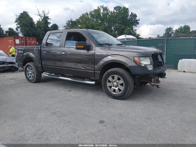2009 FORD F-150 FX4/KING RANCH/LARIAT/PLATINUM/XL/XLT