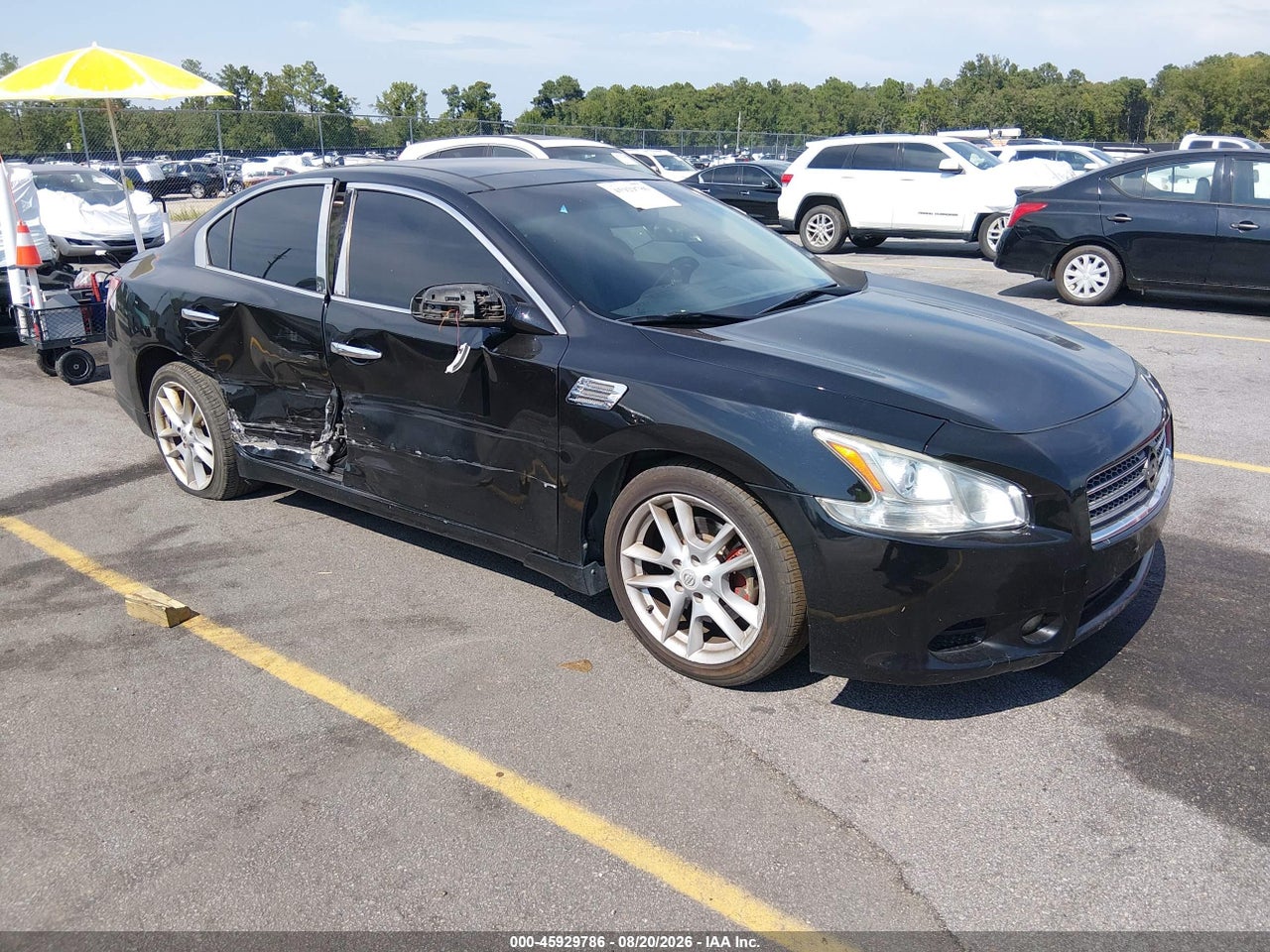 1N4AA51E19C****** · 2009 NISSAN MAXIMA 3.5 SV