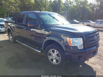 2010 FORD F-150 FX4/HARLEY-DAVIDSON/KING RANCH/LARIAT/PLATINUM/XL/XLT